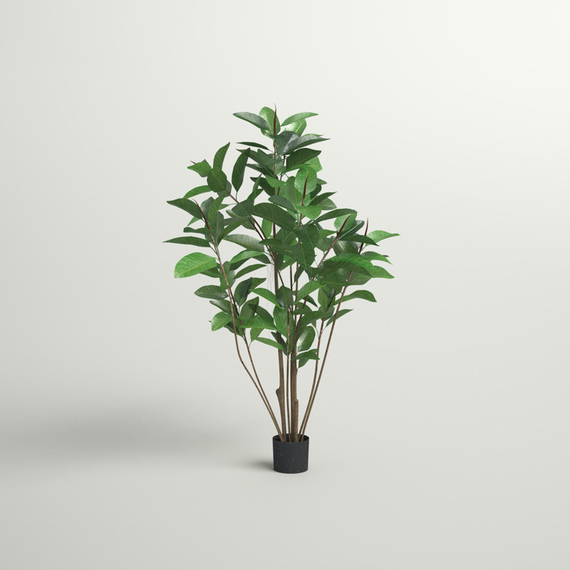 Arbre en pot de caoutchouc
