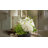 Organic Modern Arrangement with Orchids and Hydrangeas-1163598272
