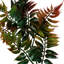 50 cm H Faux Plant-127680950