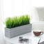 24.9cm Faux Herbs Grass in Cement Planter