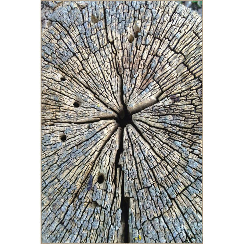 Log Printed Woven Base Rug Machine Washable, Rectangle 5'1" x 7'7" Rug Pad Included