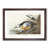 Walnut Framed selected