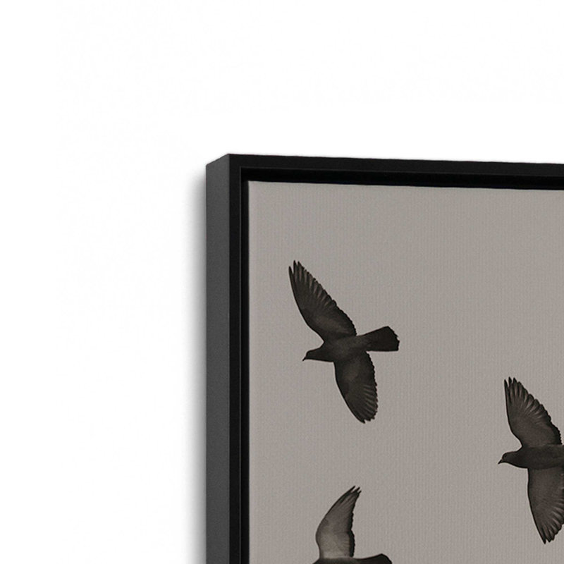 «Flock I» par Nathan Larson, reproduction d'art sur toile, Noir, H 8 po x l 12 po, Cadre flottant