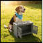 Station d'alimentation pour chien, armoire de rangement pour nourriture pour chien-123168300
