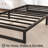 5 Inch Metal Platform Bed Frame-1168638884