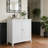 Double Door Storage Cabinet, Mid-Century Modern Freestanding Buffet Cabinet, Bathroom Storage Cabinet with Silver Knobs for Living Room, Kitchen, Bathroom, Hallway