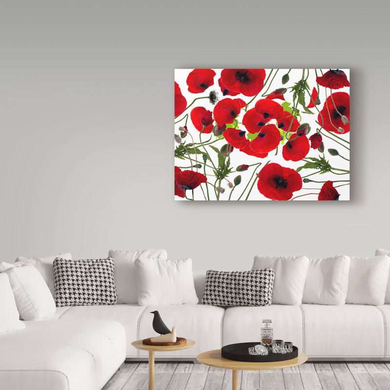 « popy fleur », reproduction d’impression sur toile tendue, H 14 po x l 19 po