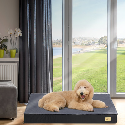 Deanesha Orthopedic Memory Foam Fleece Pet Bed