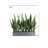27" Potted Snake Plant - Gray-124301611