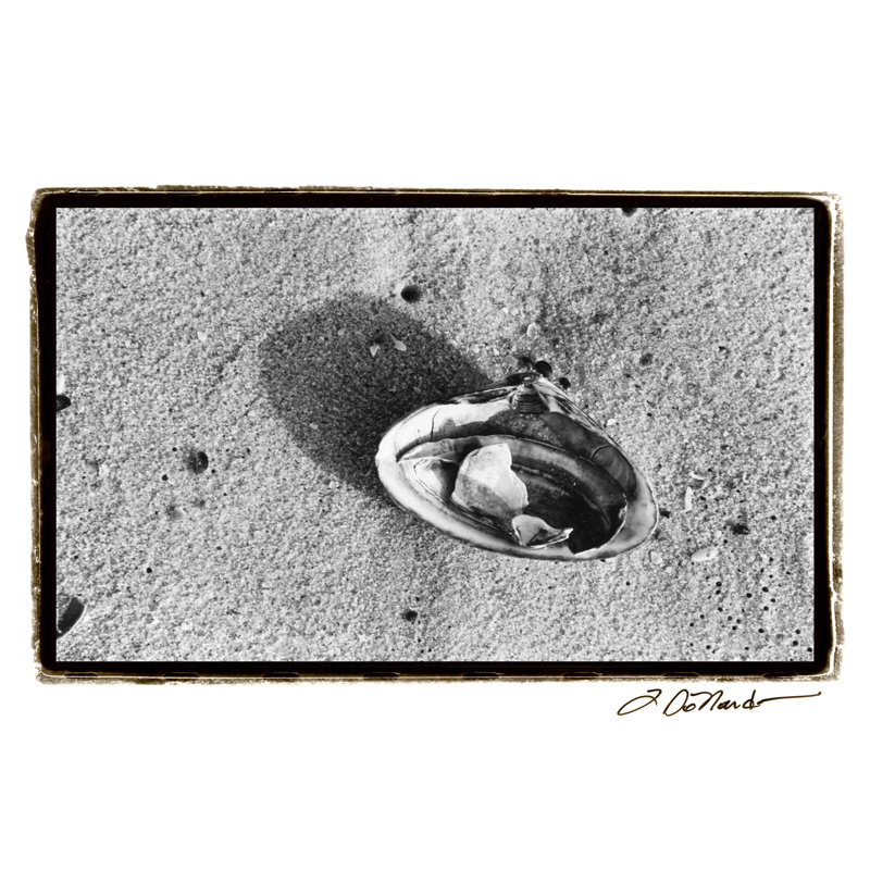 Sand Treasures VI by Laura DeNardo - Wrapped Canvas Art Prints, 30cm H x 46cm W