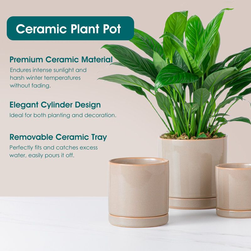 FLHPOT Ceramic Pot Planter, Grey
