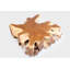 Solid Wood Coffee Table