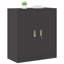 Storage Cabinet-1046416333