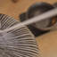 Ceramic Lamp-273350896-273350911