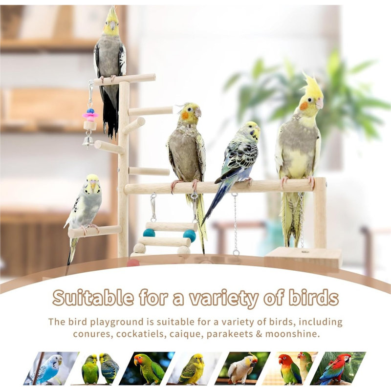 Perchoir en bois Bird, Naturel