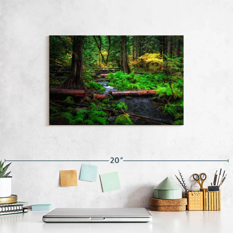 Ruisseau Alvord Willamette National Forest, H 8 po x l 12 po
