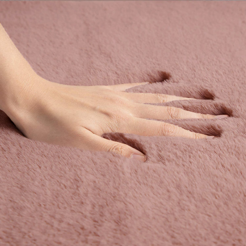 Ibukunoluwa Faux Fur Washable Indoor Rug, Novelty 2' x 3'