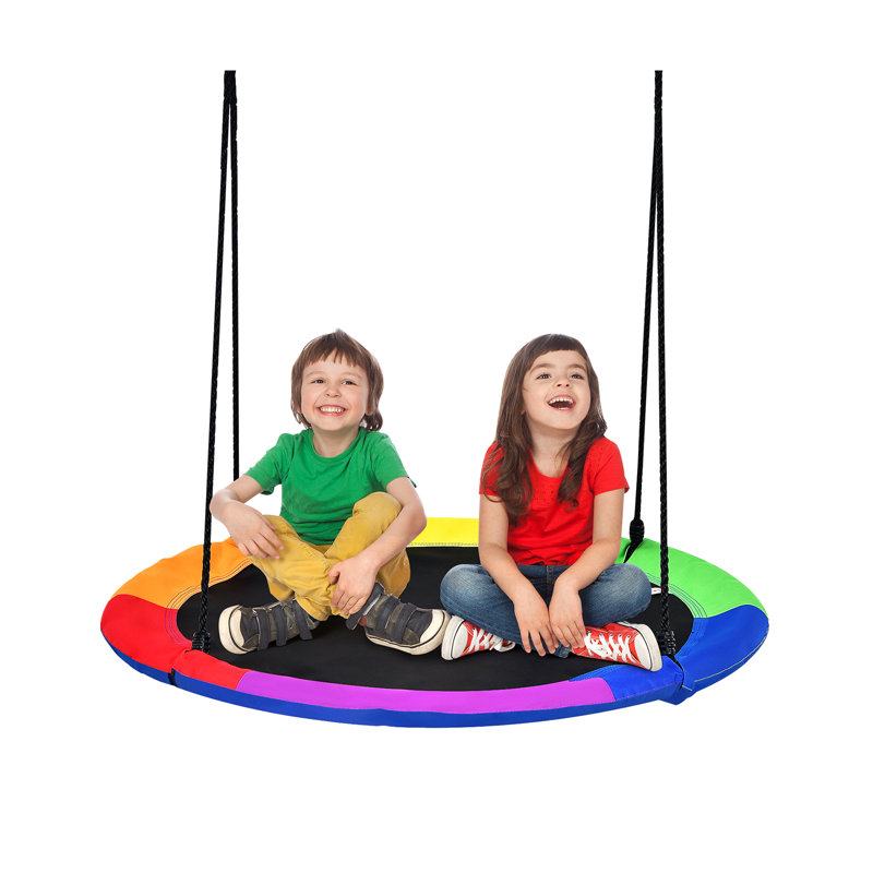 Freeport Park Midlothian Web / Saucer Swing Swing Seat with Chains
