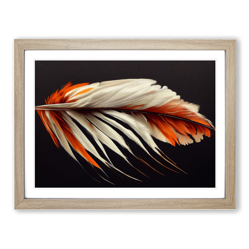 Bird Feather - Single Picture Frame Print, 46cm H x 64cm W x 2cm D, Oak Framed