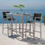  Table de bar Cape Coral avec plateau en verre et structure en acier inoxydable durable