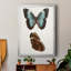 «Antique Blue Butterflies IV», reproduction encadrée de qualité supérieure - prête à être accrochée-1336687251-1287428878