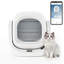 Self-Cleaning Litter Box