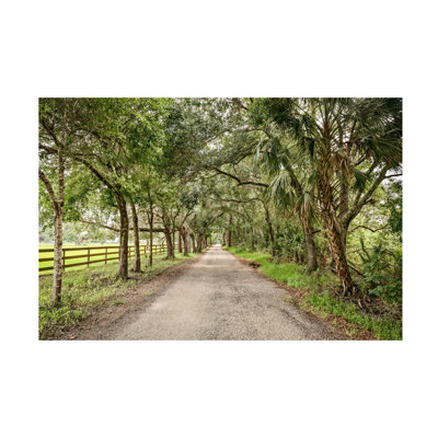 Wrapped Canvas Wall Art - Mary Lou Johnson 'Country Roads, Take Me Home' Wall Art for Living Room, Bedroom, or Office Décor  - 22x32