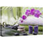 Zen Zen Relaxing Orchid Flower-101092653