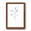 Croquis floral - reproduction de cadre photo sur papier-323769401-323769405