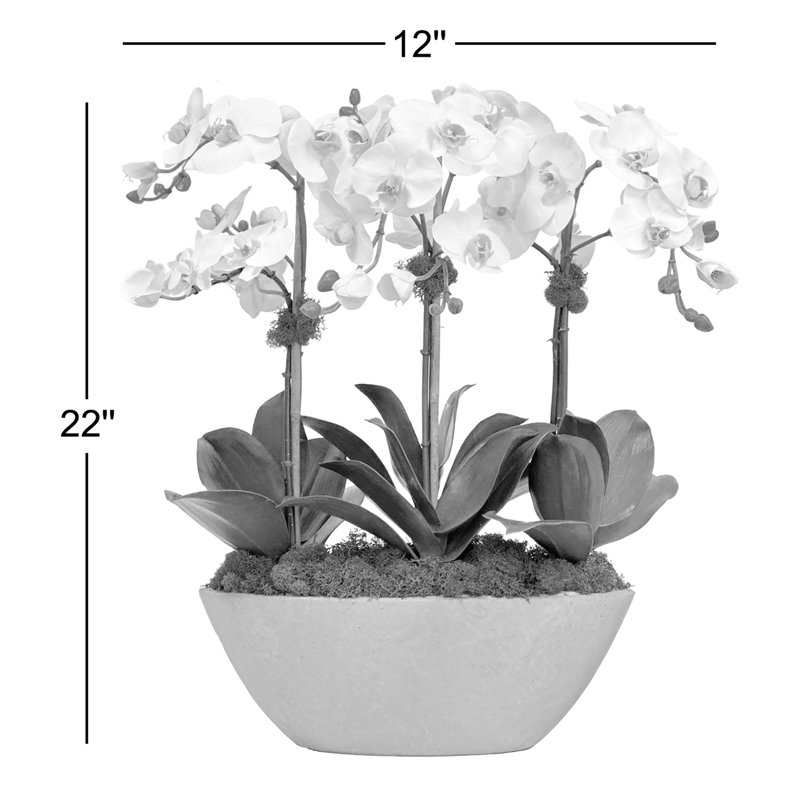 Orchidée dans un carré ovale carré