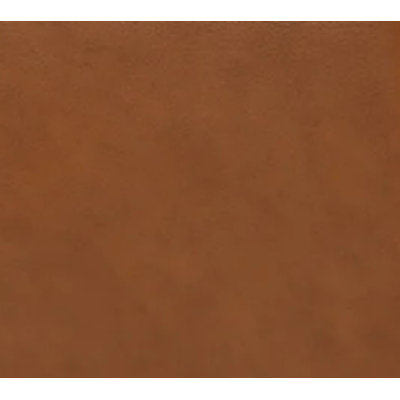 SWATCH EQ-Light Brown