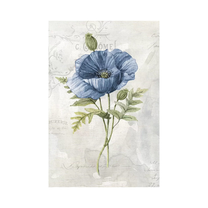 Blue Linen Poppy by Carol Robinson - Wrapped Canvas Print, 20.32 cm H x 30.48 cm W