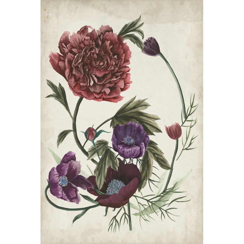 Antique Peony I - Painting, 76cm H x 51cm W, Wrapped Canvas