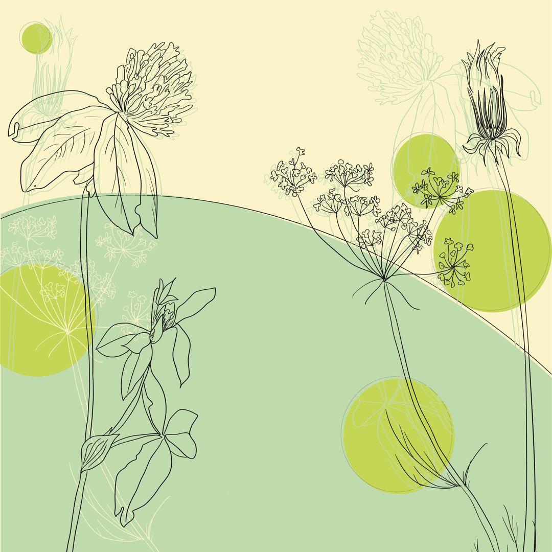 Line Drawing Herbs - Wrapped Canvas Graphic Art