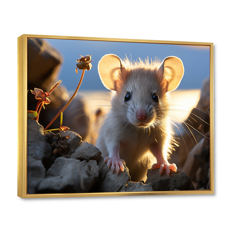 «White Cute Rodent Portrait I», reproduction sur toile, H 34 po x l 44 po x P 1,5 po, Cadre flottant doré
