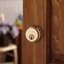 Traditional Double Cylinder-501399167