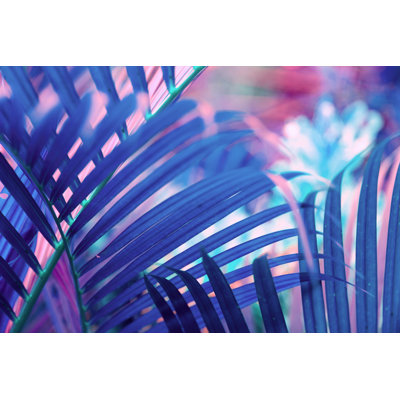 Feuilles de palmier de couleur néon par Andrey Danilovich