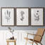 Simply Imperial - Ensemble de 3 cadres photo-644663669-644663656