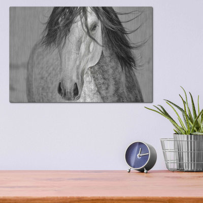 «My Beautiful Mane» par Lisa Dearing