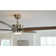 54'' Ceiling Fan with LED Lights