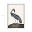 Impression sur toile encadrée «Great Heron II»