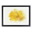 Sole Yellow Daffodil in Abstract - Picture Frame Painting Print-55726429-55726434