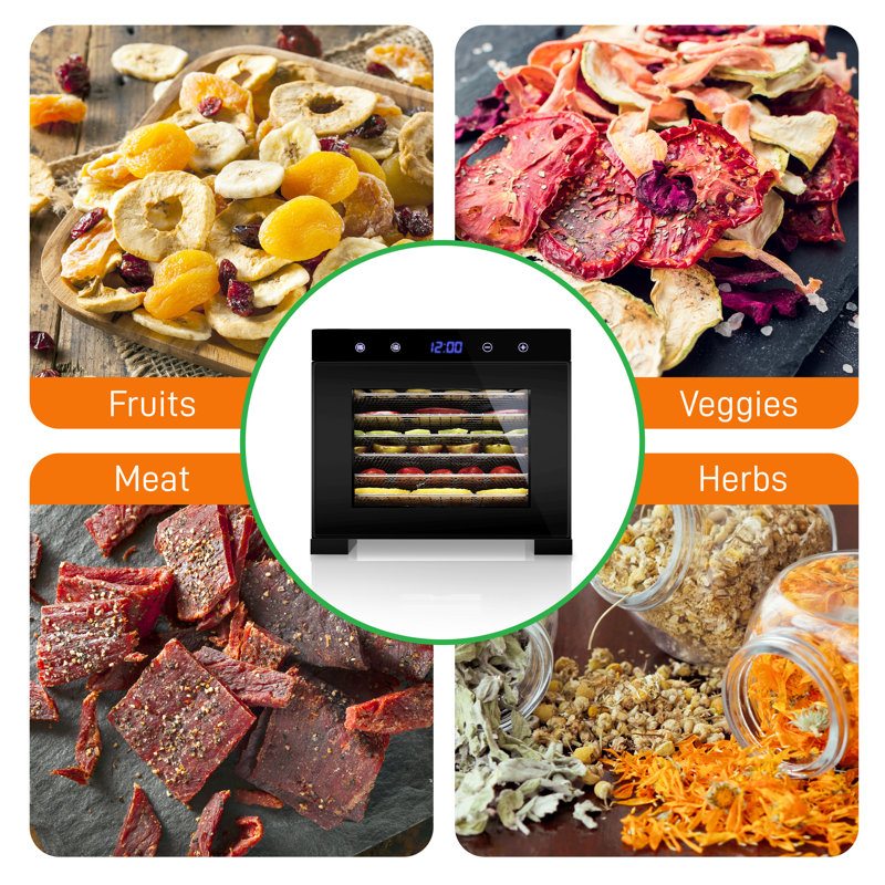 Déshydrateur d'aliments de comptoir 6 plateaux Nutrichef