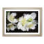 White Jasmine Flowers - Framed Print-55612724-55612728