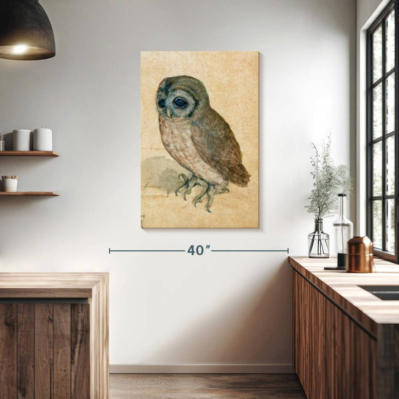Brampt The Little Owl, 39" H x 26" W
