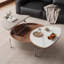 Table basse multifonctionnelle-107818685