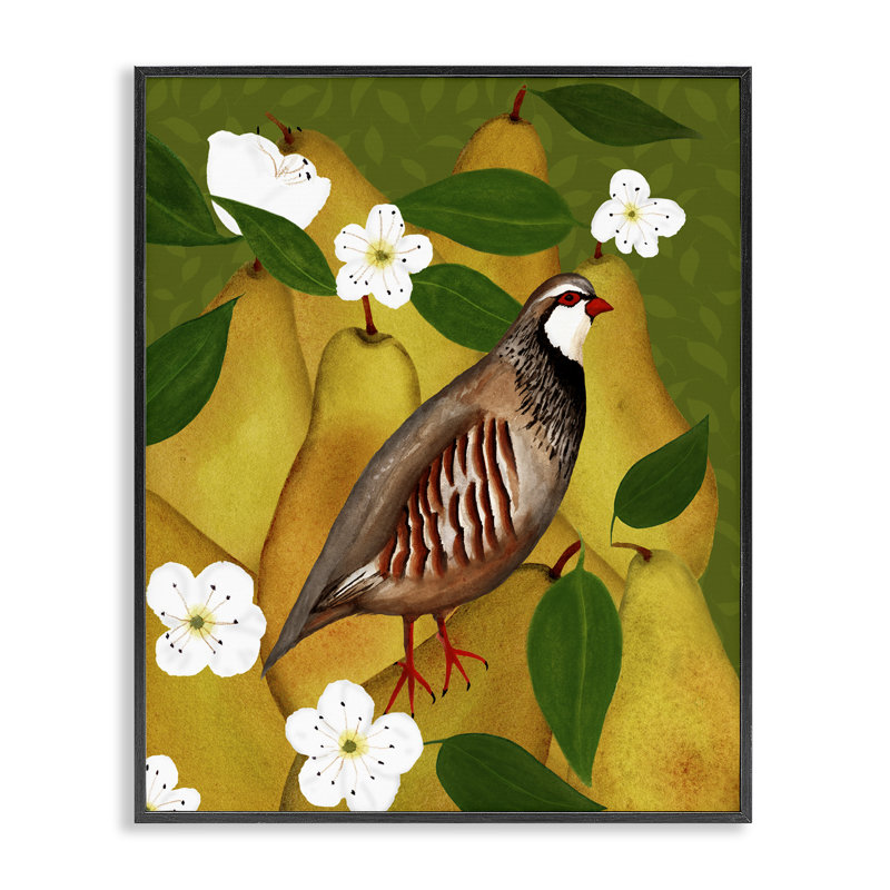  Partridge Bird & Pears Giclee Art by Michelle Ingari Designs, Giclée encadrée noir minuit, H 14 po x l 11 po