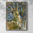 Oak Tree Framed Print - Solid Wood-448889265