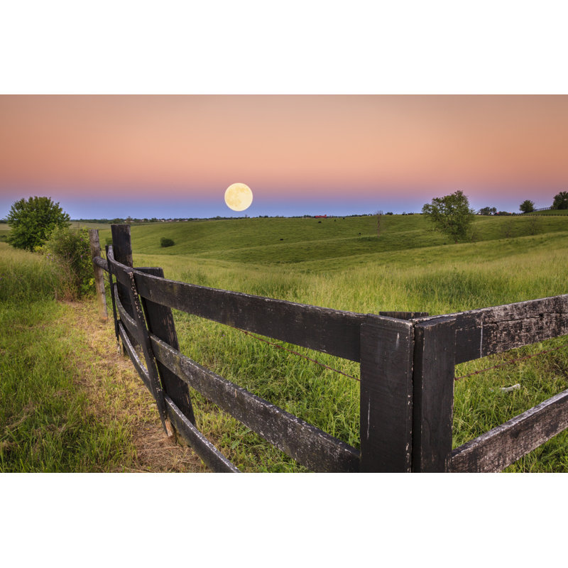 Moonrise by Alexeys - Wrapped Canvas Print, 30cm H x 46cm W 