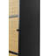 Guuji Accent Cabinet
